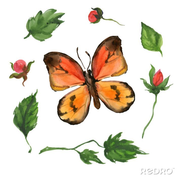 Fotobehang Oranje vlinder en bladeren