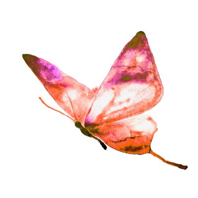 Fotobehang Oranje vlinder in beweging