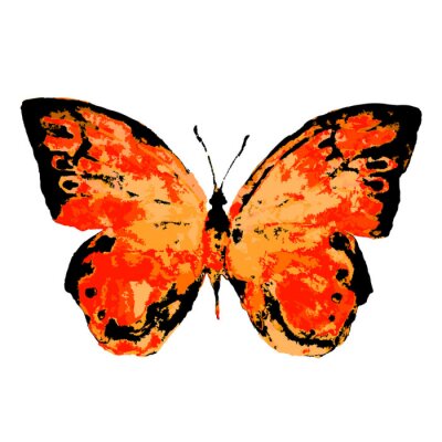 Fotobehang Oranje vlinder op witte achtergrond