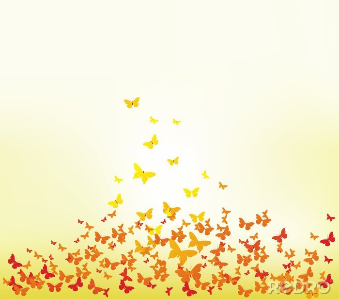 Fotobehang Oranje vlinders op een zonnebloem achtergrond