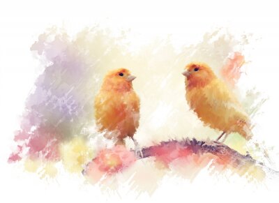 Fotobehang Oranje vogels in aquarel