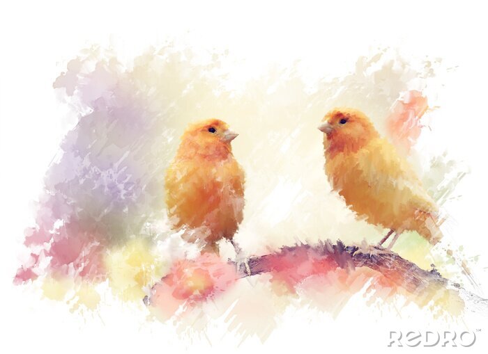 Fotobehang Oranje vogels in aquarel