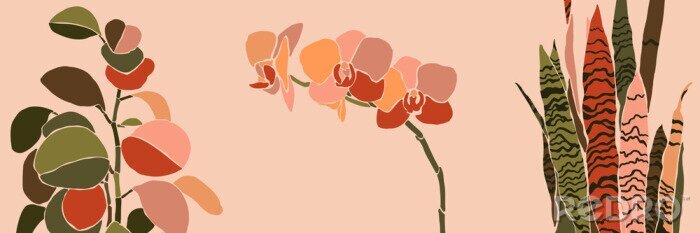 Fotobehang Orchidee en sensevieria in warme kleuren