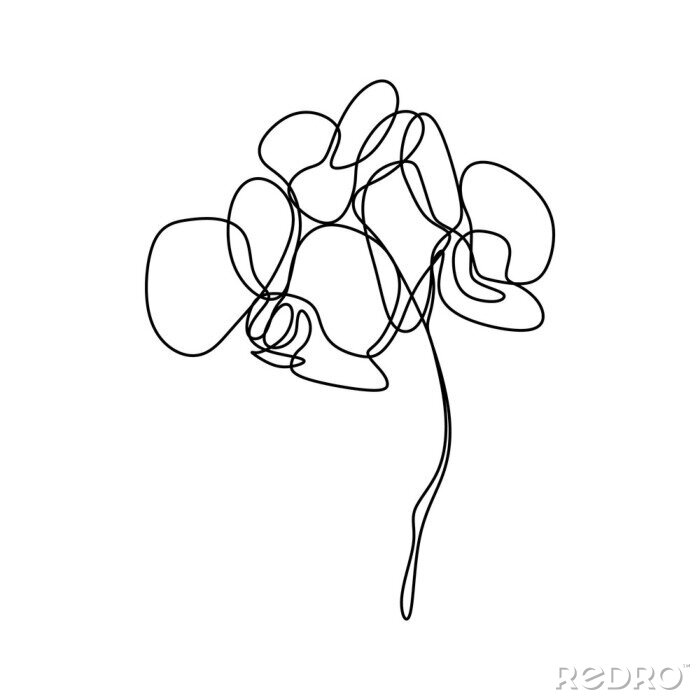 Fotobehang Orchidee met onregelmatige vormen