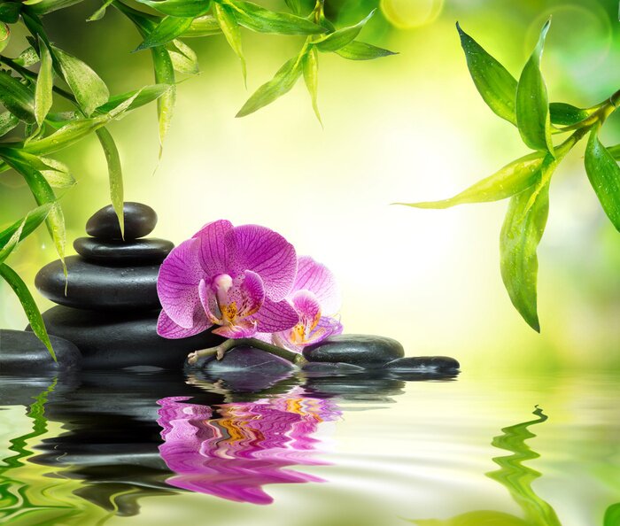 Fotobehang Orchidee stenen en groene planten