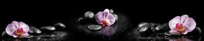 Orchidee stenen en waterdruppels