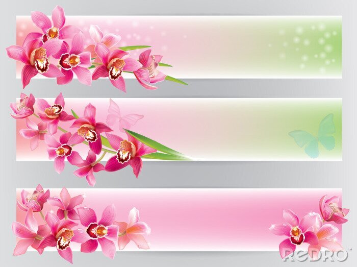 Fotobehang Orchideeën op horizontale strepen