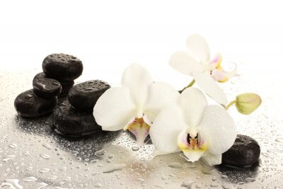 Fotobehang Orchideeën spa stenen en waterdruppels
