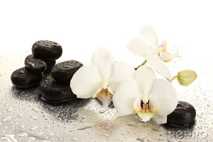 Fotobehang Orchideeën spa stenen en waterdruppels