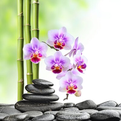 Fotobehang Orchideeën stenen en groene bamboe