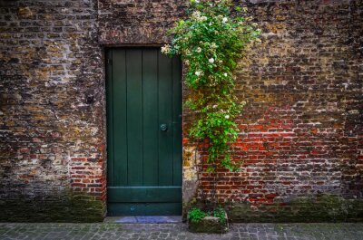 Fotobehang Oud bakstenen huis met bloem