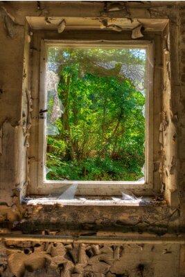Fotobehang Oud raam met uitzicht op het bos