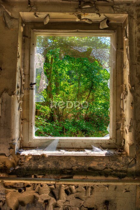 Fotobehang Oud raam met uitzicht op het bos