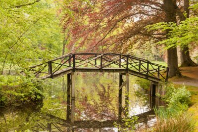 Fotobehang Oude brug in het bos