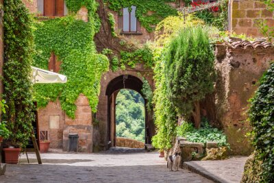 Oude stad overwoekerd met klimop in Toscane