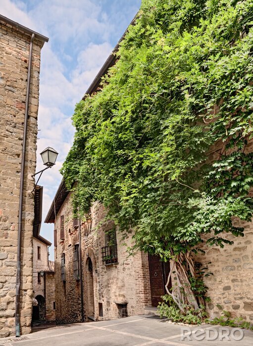 Fotobehang oude steegje in Umbrië, Italië
