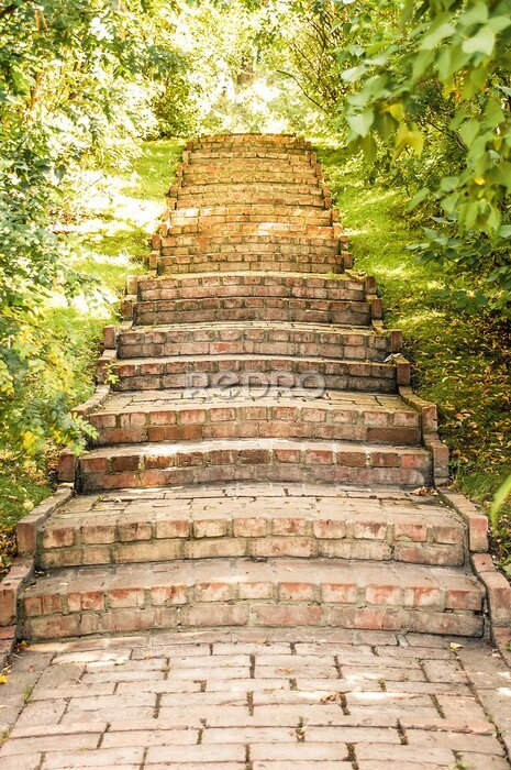 Fotobehang Oude trap in het park