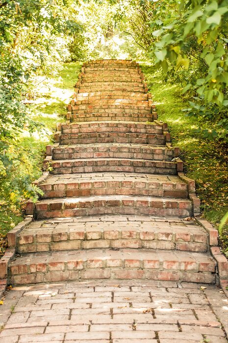 Fotobehang Oude trap in het park