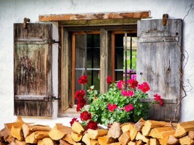 Fotobehang oude venster en bloemen