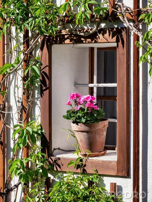 Fotobehang Oude venster en bloemen