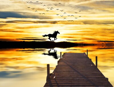 Fotobehang Paard op een achtergrond van zonsondergang