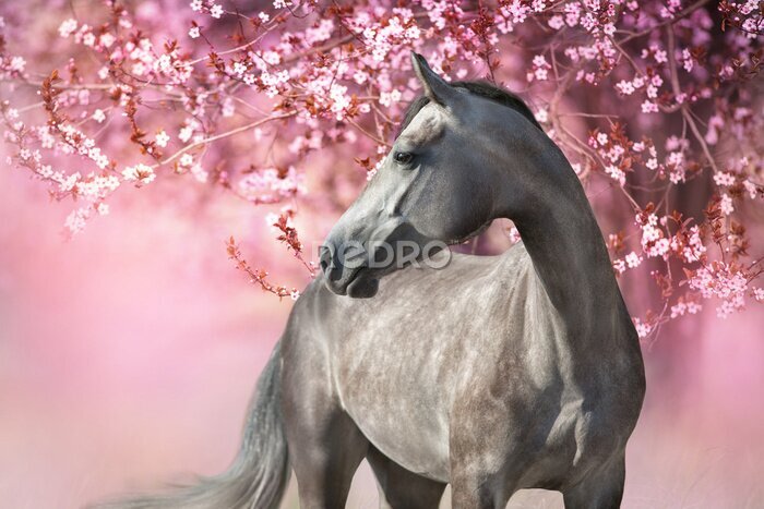 Fotobehang Paard op een bloemenachtergrond in roze