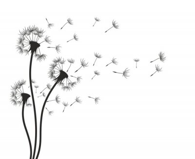 Fotobehang Paardebloem.