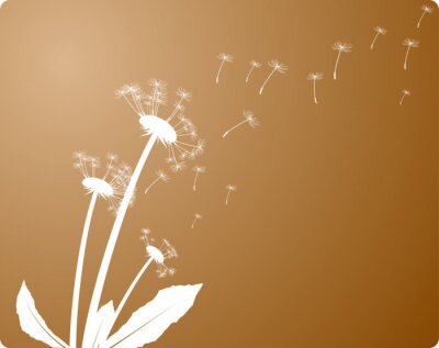 Paardebloem bloemen met vliegende zaden