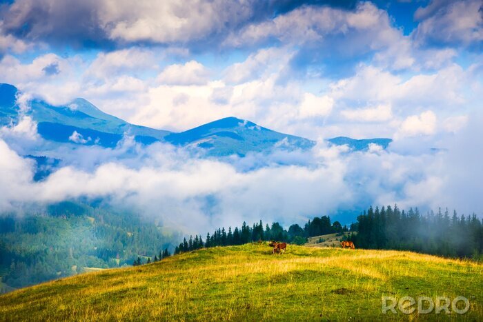 Fotobehang Paarden bergen en wolken