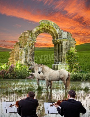 Fotobehang Paarden bij een strijkconcert