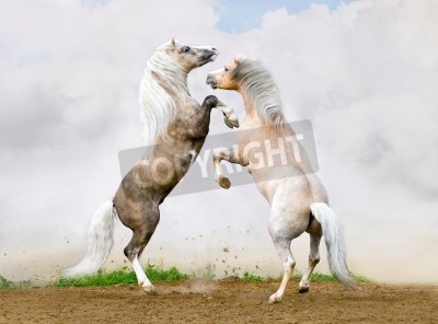 Fotobehang Paarden die bij een eik staan
