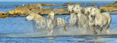 Fotobehang Paarden op een achtergrond van stenen