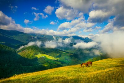Fotobehang Paarden op een bergweide