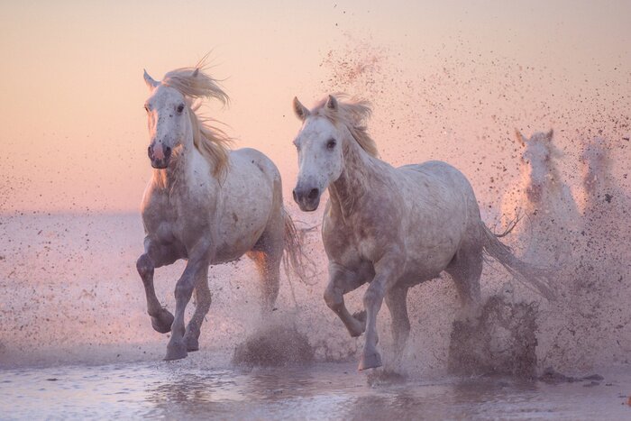 Fotobehang Paarden tegen een pastelkleurige lucht