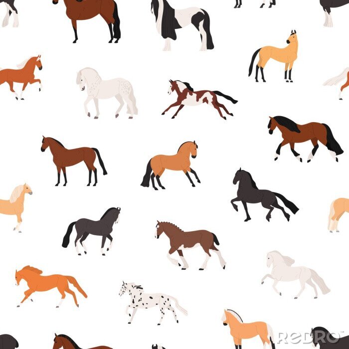 Fotobehang Paarden van verschillende kleuren op een witte achtergrond