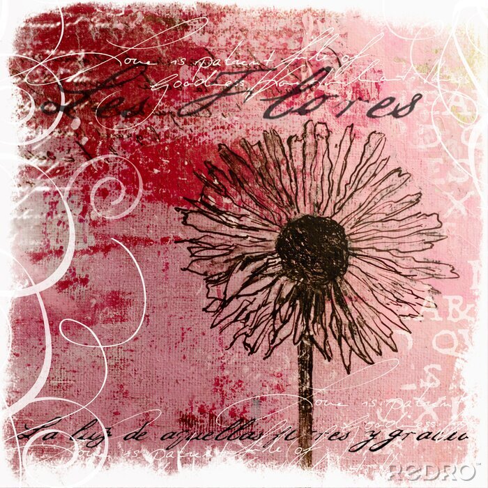 Fotobehang Paardenbloem en typografie