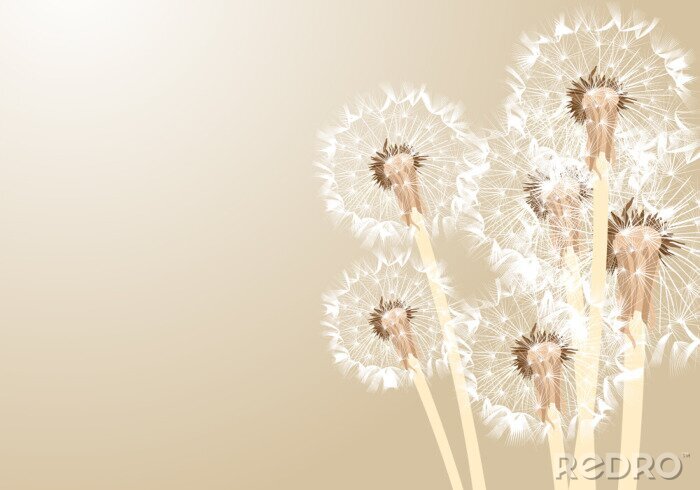 Fotobehang Paardenbloemen in beige kleuren