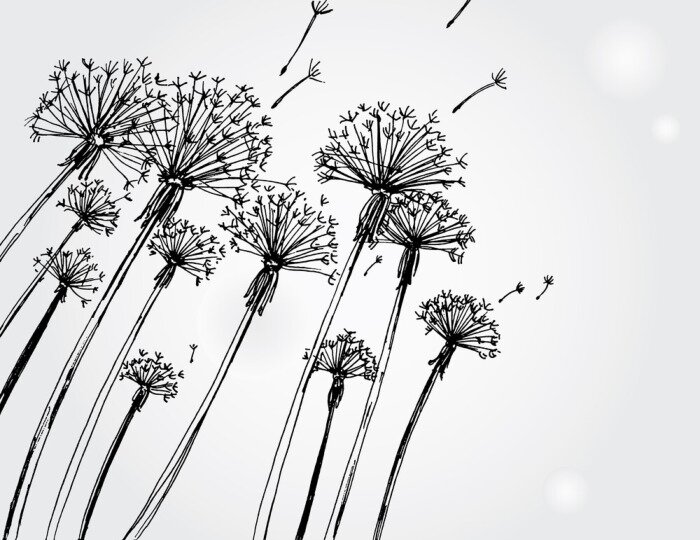 Fotobehang Paardenbloemen van onderaf gezien