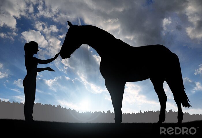 Fotobehang Paardenvrouw en paard in de stralen van de zon