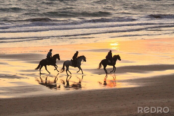 Fotobehang Paardrijden op het strand