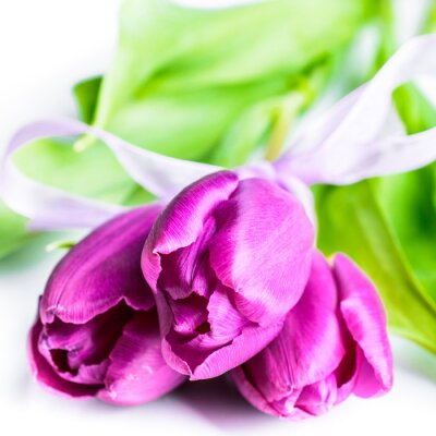 Fotobehang Paarse bloemen met lint