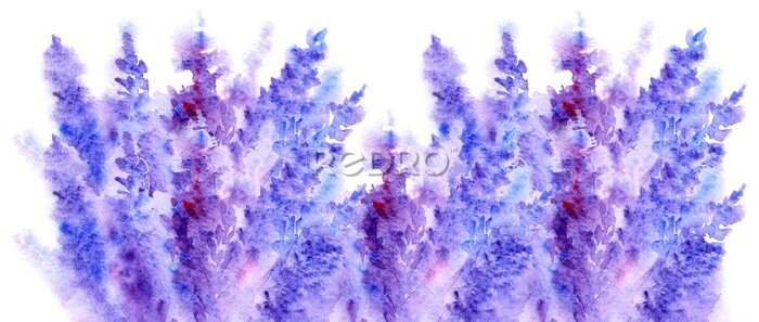 Fotobehang Paarse lavendeltakjes in bloei