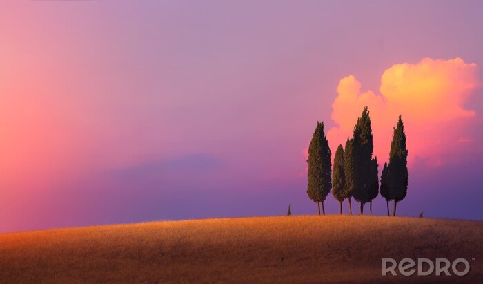 Fotobehang Paarse lucht in Toscane