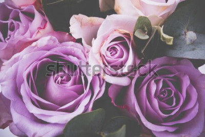 Fotobehang Paarse retro rozen