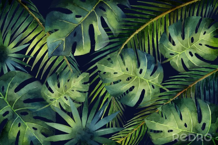 Fotobehang Palm en monstera bladeren