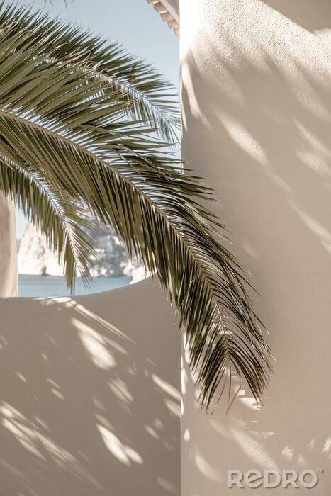 Fotobehang Palm leaf beautiful shadows on the wall. Creative, minimal, bright and airy styled concept.