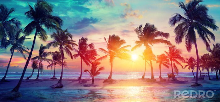 Fotobehang Palm Trees Silhouettes On Tropical Beach At Sunset - Modern Vintage Colors