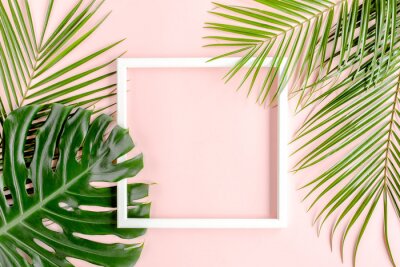Fotobehang Palmbladeren en kader op roze achtergrond