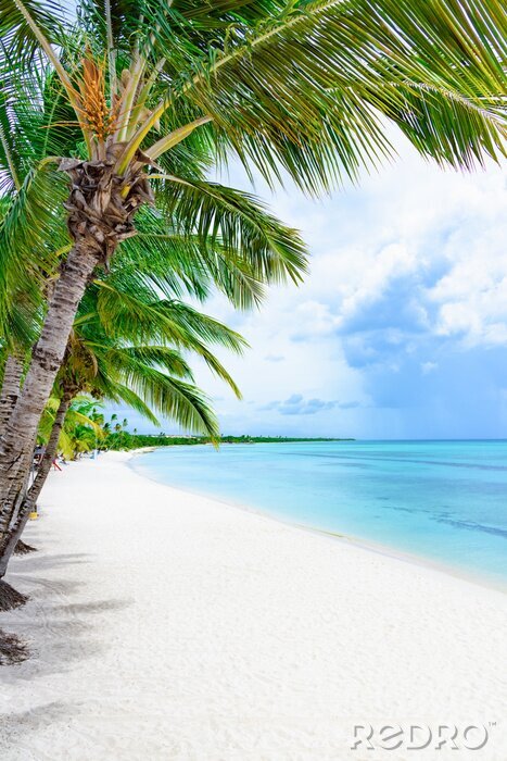 Fotobehang Palmbomen bij een leeg strand