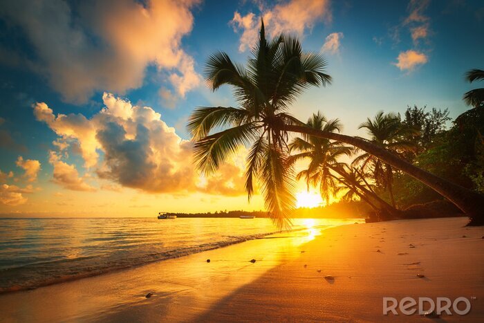 Fotobehang Palmbomen en exotische zonsondergang